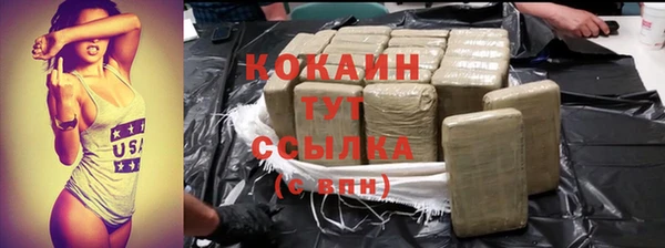 соль ск Алзамай