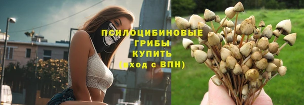эйфоретик Алексин