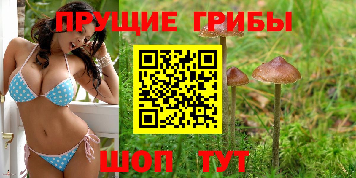 Пенза  Галлюциногенные грибы мухоморы  Вход с VPN 