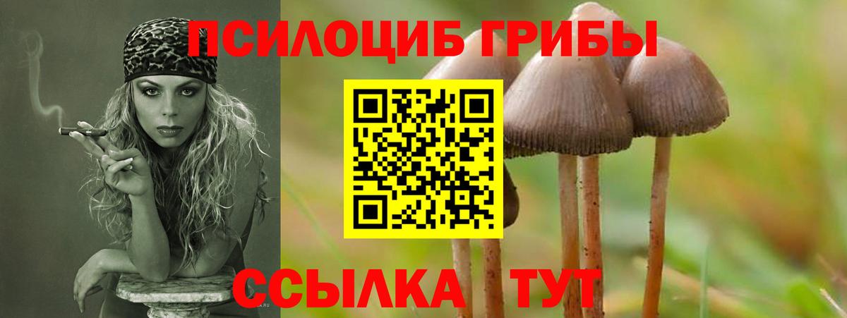 Псилоцибиновые грибы мухоморы Пенза